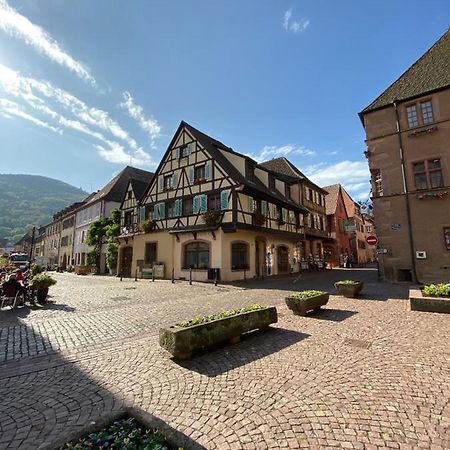 Coeur D'Alsace Kaysersberg-Vignoble Exterior foto