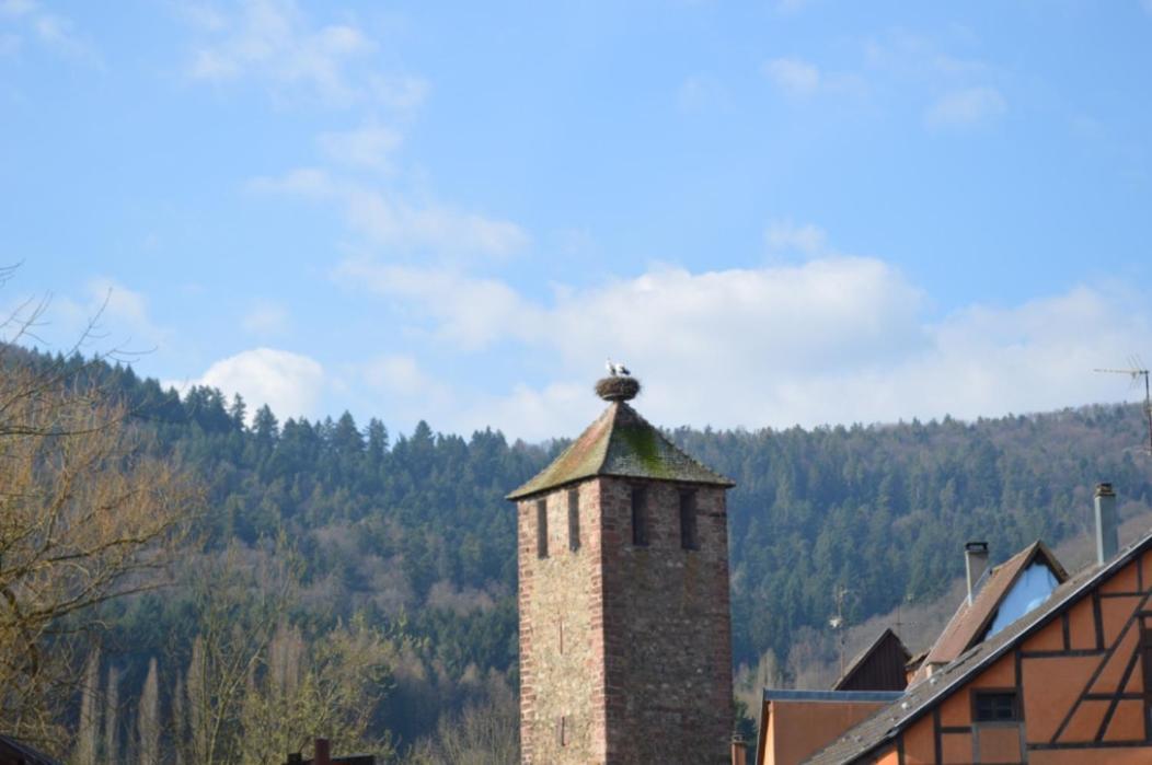 Coeur D'Alsace Kaysersberg-Vignoble Exterior foto